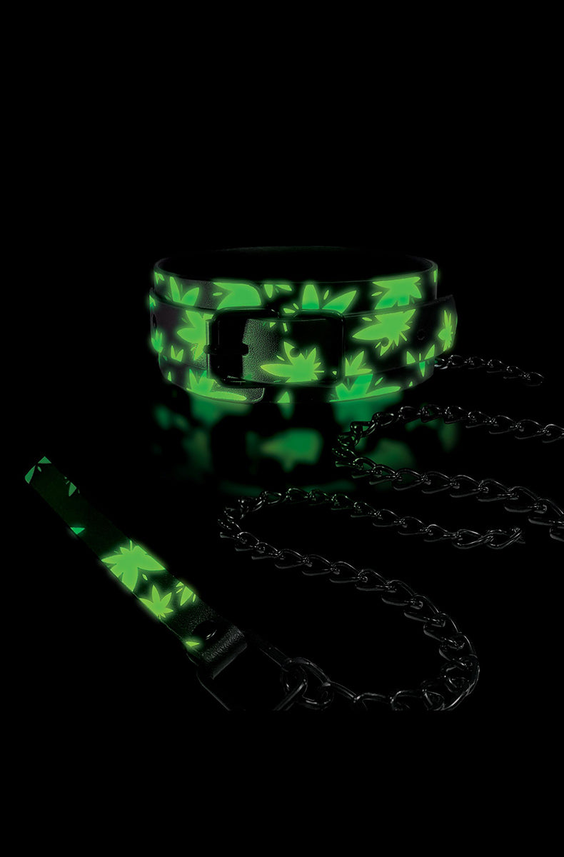 Glow-in-the-dark view of the cannabis-leaf print collar and leash strap with black buckle and black chain on dark background.