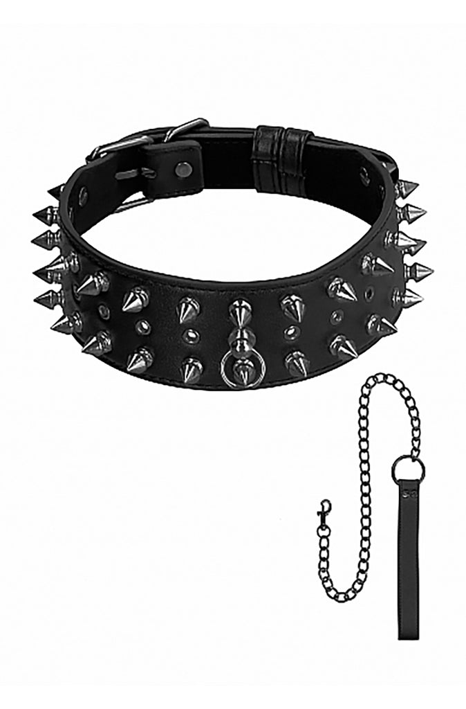 Spikes Leather Collar and Leash