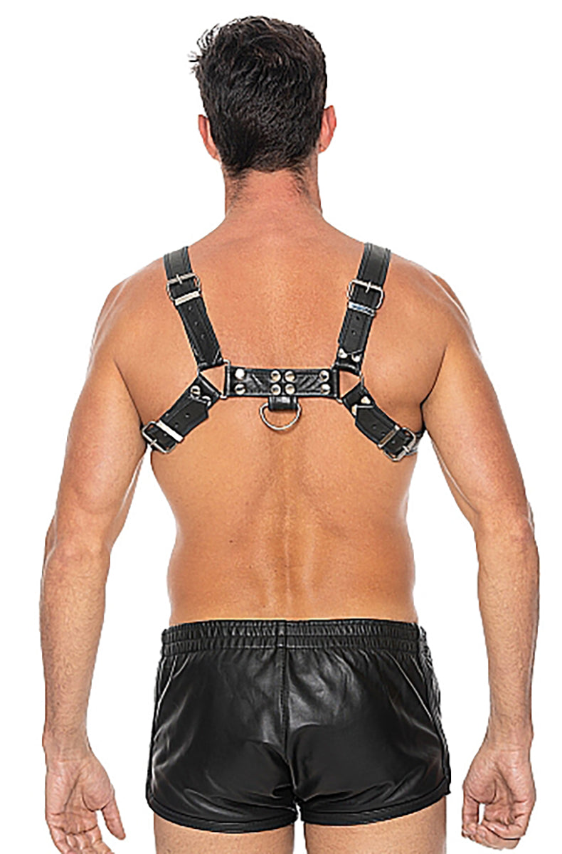 Back view of the bulldog chest harness, horizontal underbust band buckled at the back with a rear O-ring at center.