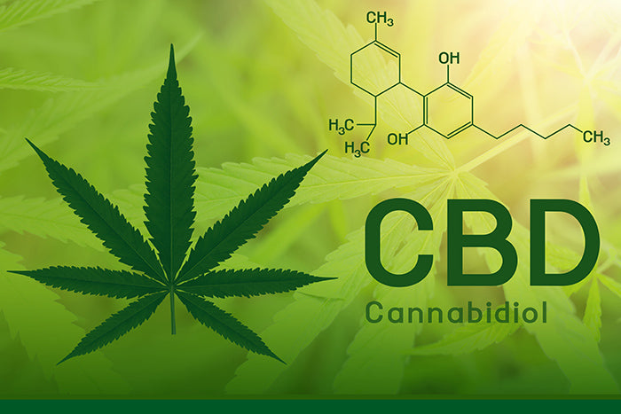 The new buzz word: CBD.