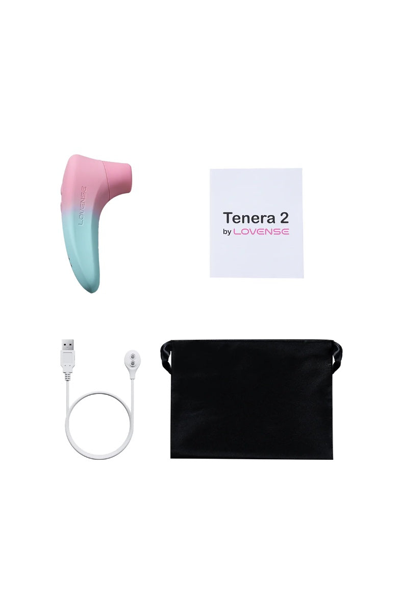 Product contents laid out showing gradient toy, USB charging cable, user manual, and black storage pouch