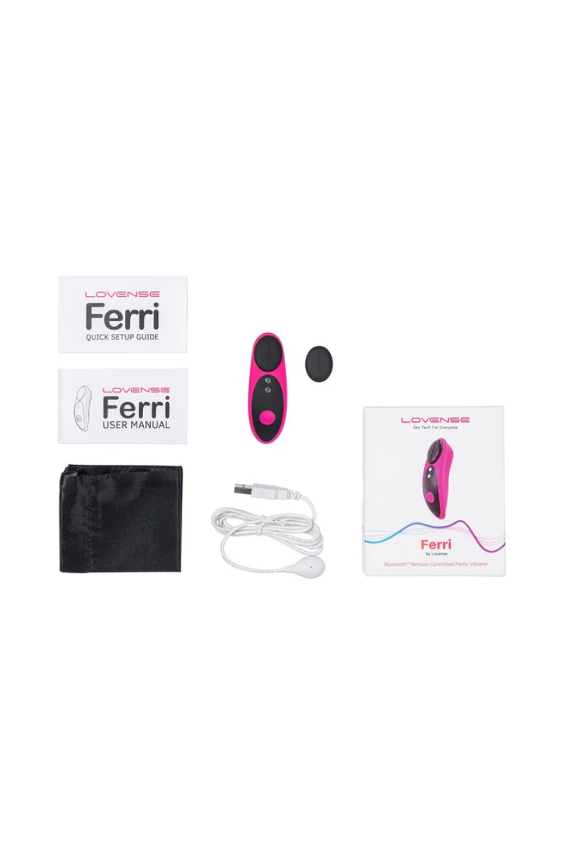 Flat lay of complete Ferri kit with vibrator, magnetic cap, charging cable, manuals, and storage bag