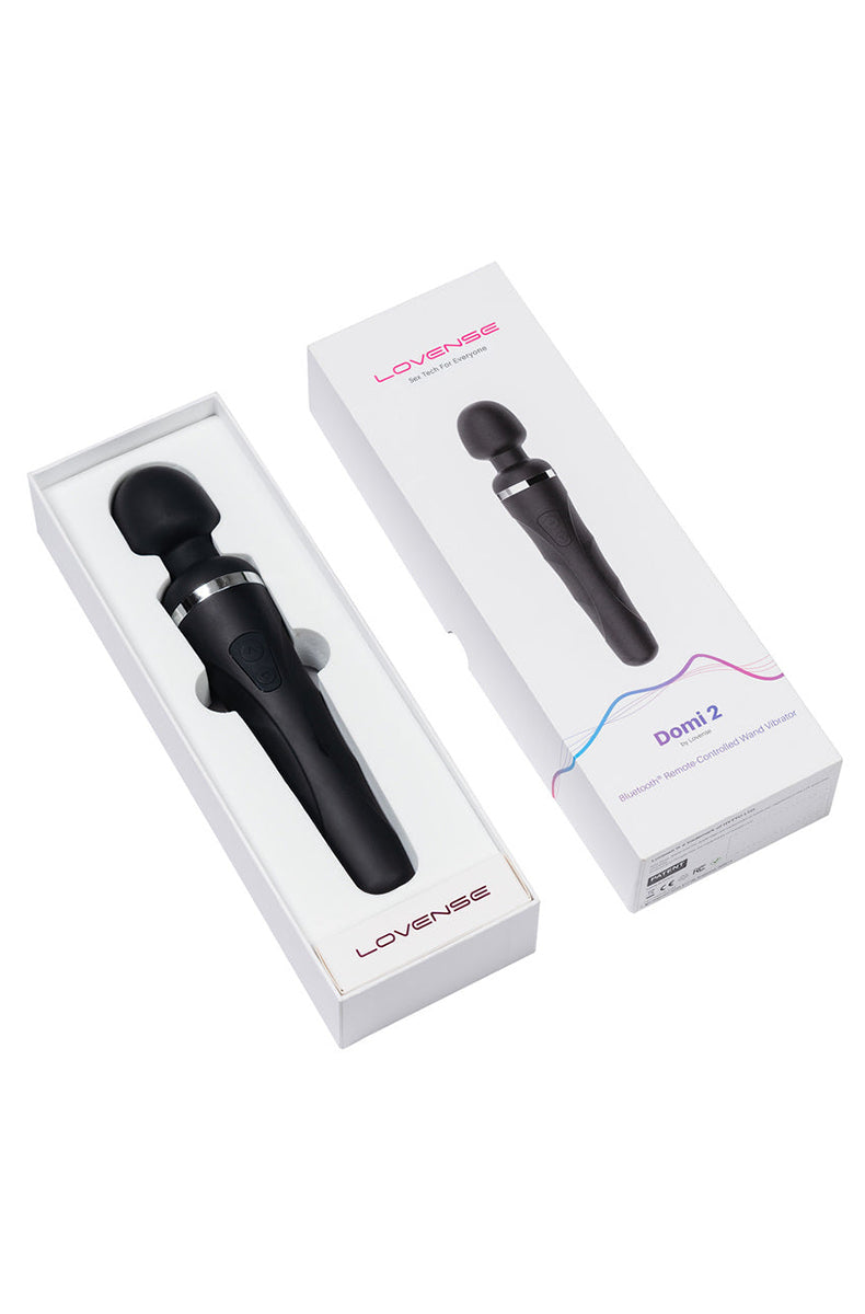 Lovense Domi 2 mini wand and USB charging cable laid out together.