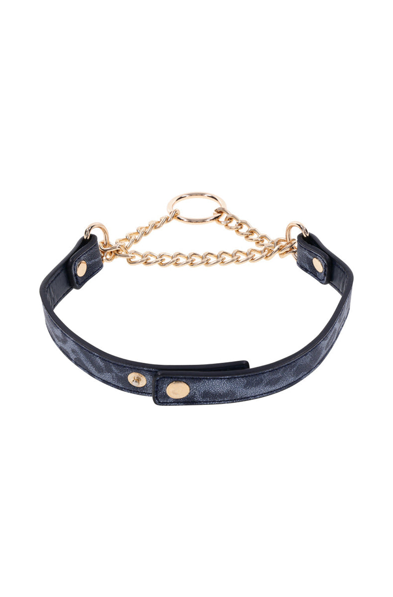 Back view of the dark blue leopard-print Cougar Day Collar showing the buckle strap and gold rivet detail.