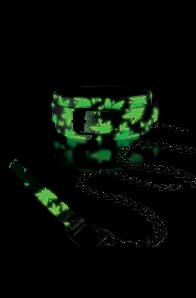 glow in the dark bdsm collar and leash