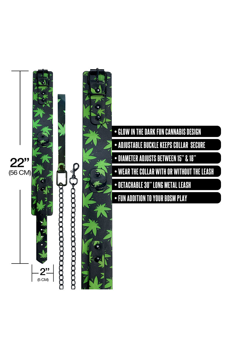 Detail view of the cannabis-leaf print collar and leash strap with size markings of 22 inches long and 2 inches wide.