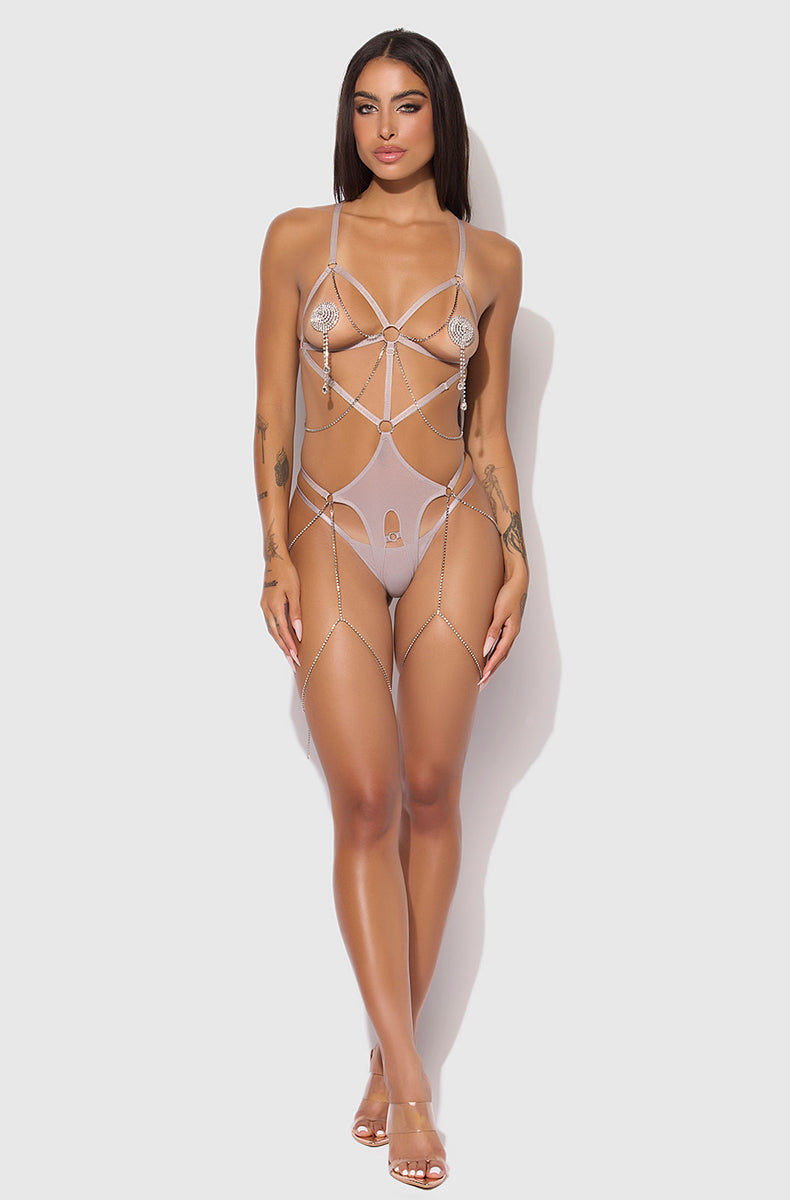 Full length view of the silver grey rhinestone chain teddy