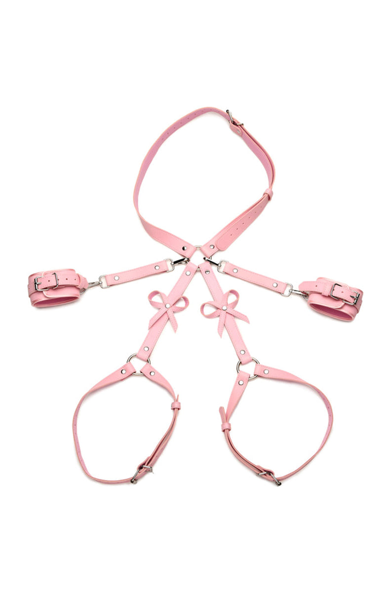 slutty bdsm harness