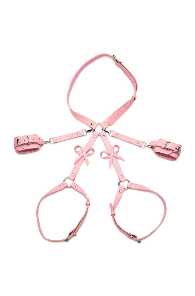 slutty bdsm harness