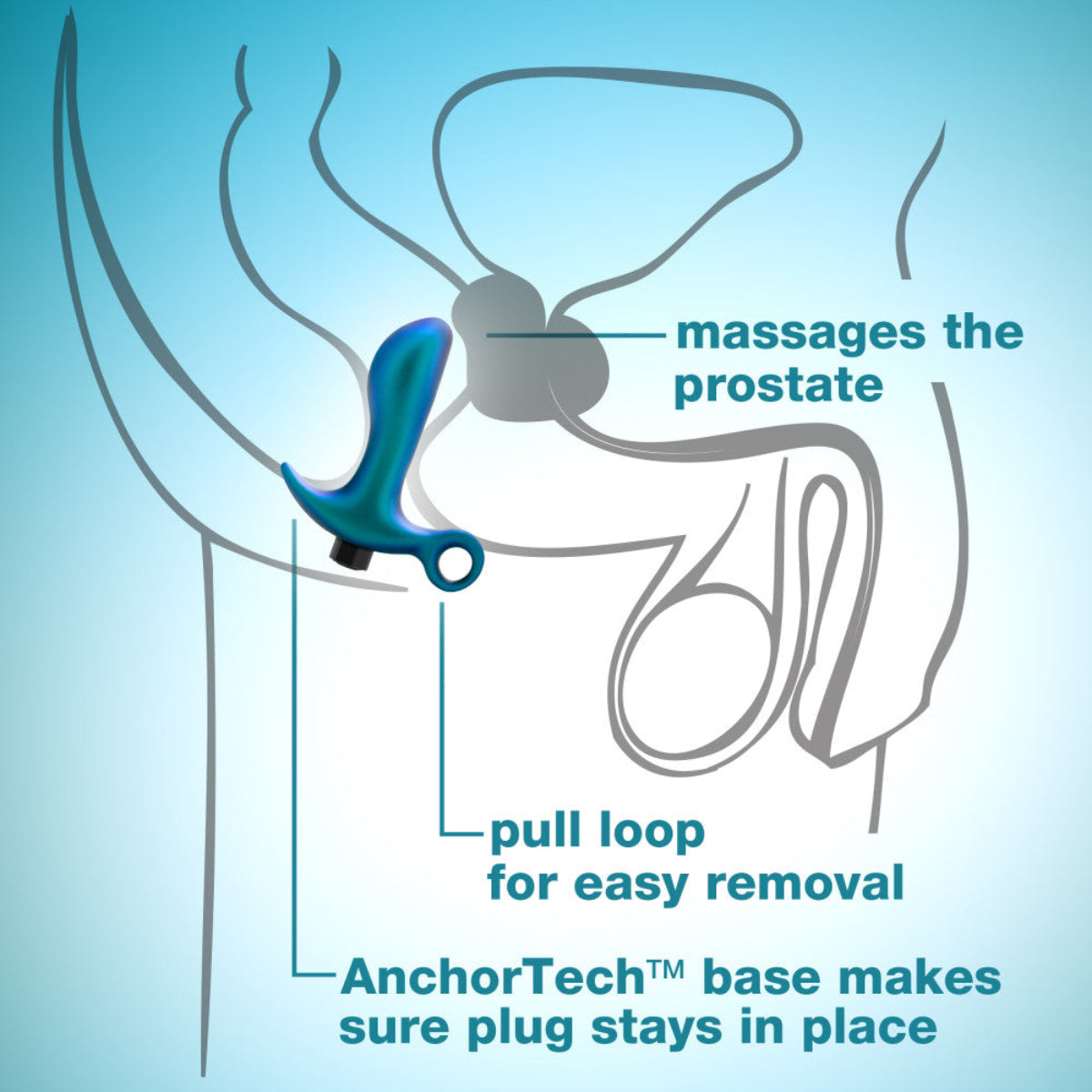 Anatomical diagram showing the plug positioned to massage the prostate, with a pull loop and AnchorTech base.