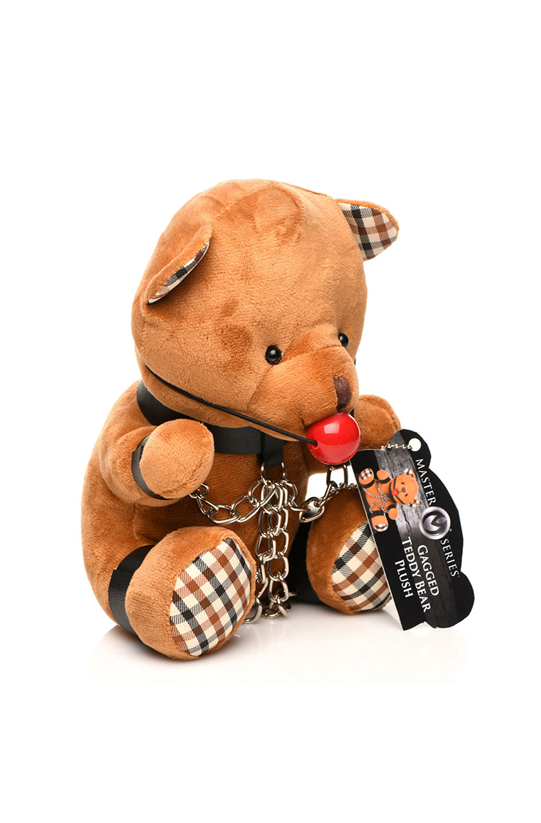 Close-up of red ball gag and black collar with silver buckle on tan plush teddy bear face.