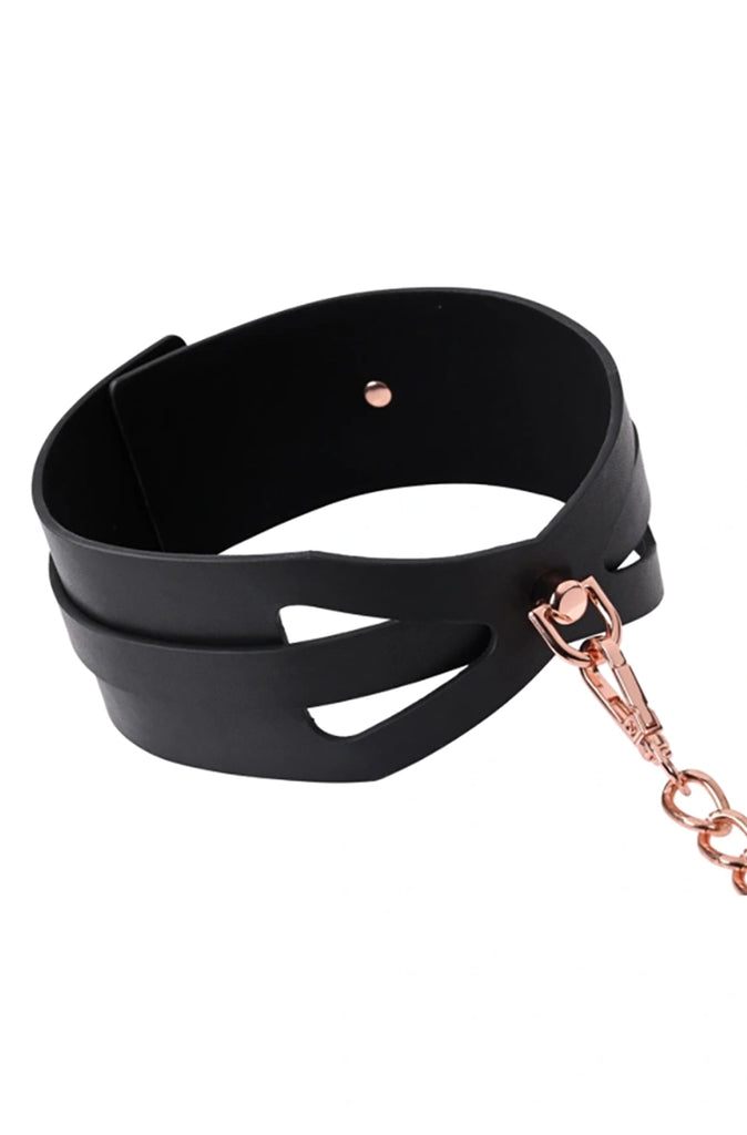 bdsm collar and leash