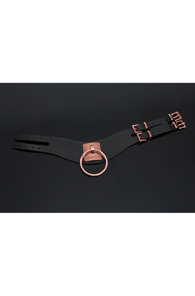 BDSM collar