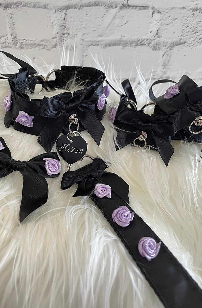 bdsm collar and leash