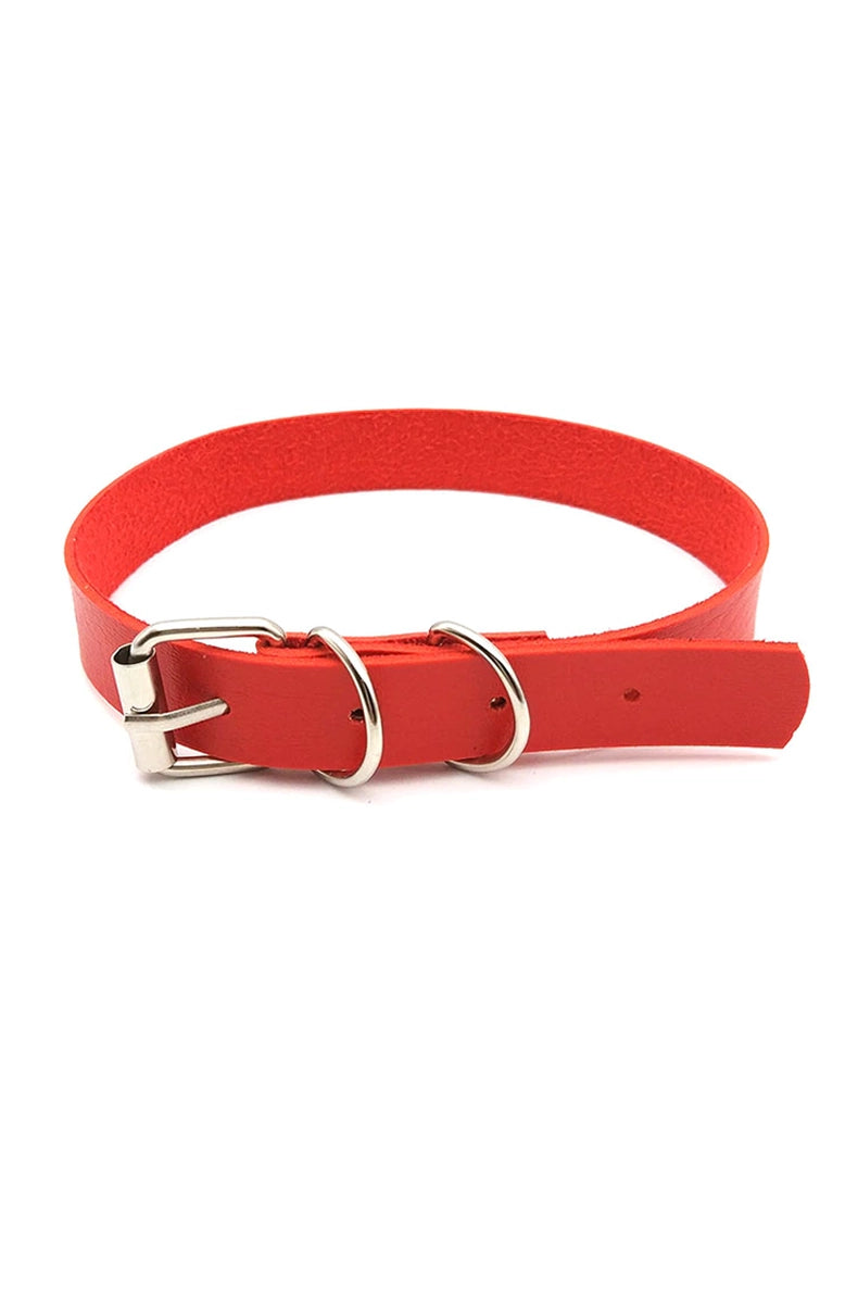 Pink and red vegan leather collars with raised black plastic letters spelling CUSTOM as a sample, both with silver buckles and D-rings.