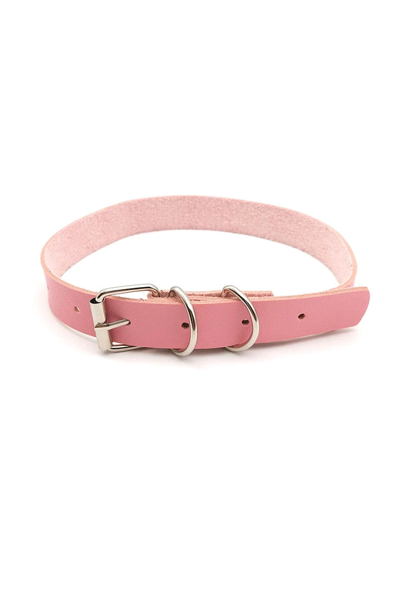 Pink and red vegan leather collars with raised black plastic letters spelling CUSTOM as a sample, both with silver buckles and D-rings.