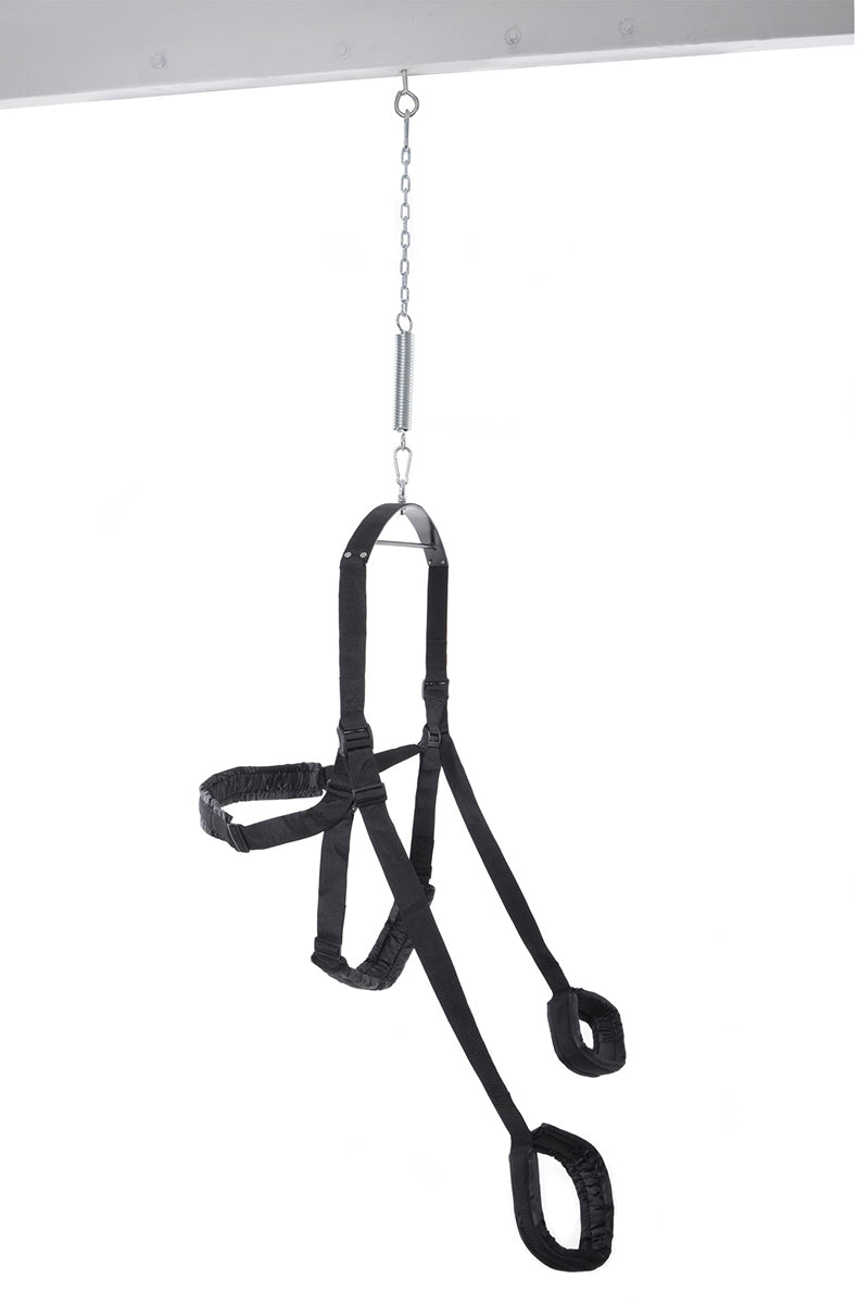 Fantasy Sex Swing installed in a doorway frame, chain and spring suspending the seat in the open doorway.