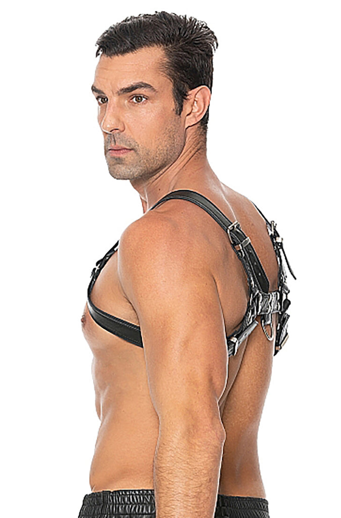 bdsm harness